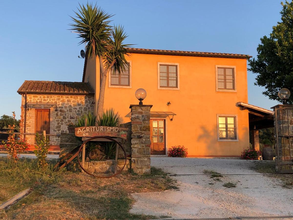 Вилла Agriturismo Il Saragiolo Монтемерано Экстерьер фото